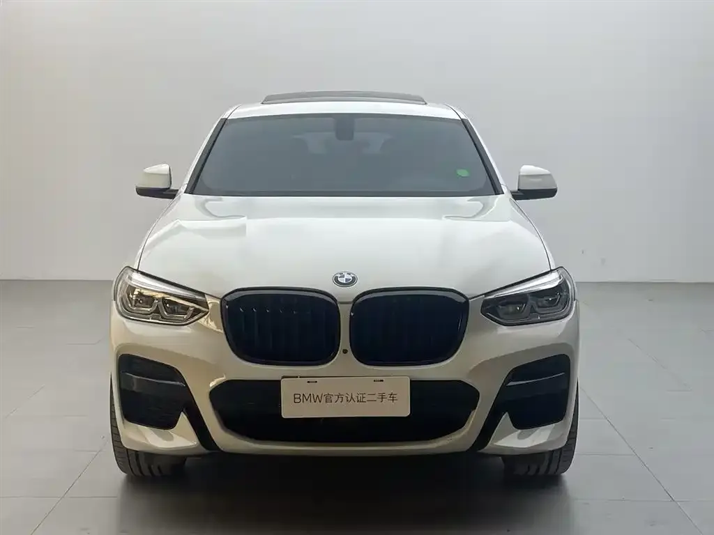 BMW X4 2021 из CN, фото 5