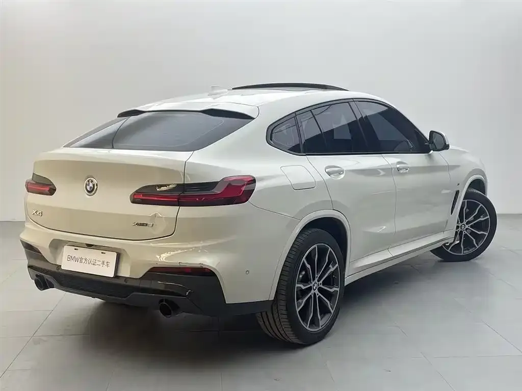 BMW X4 2021 из CN, фото 8