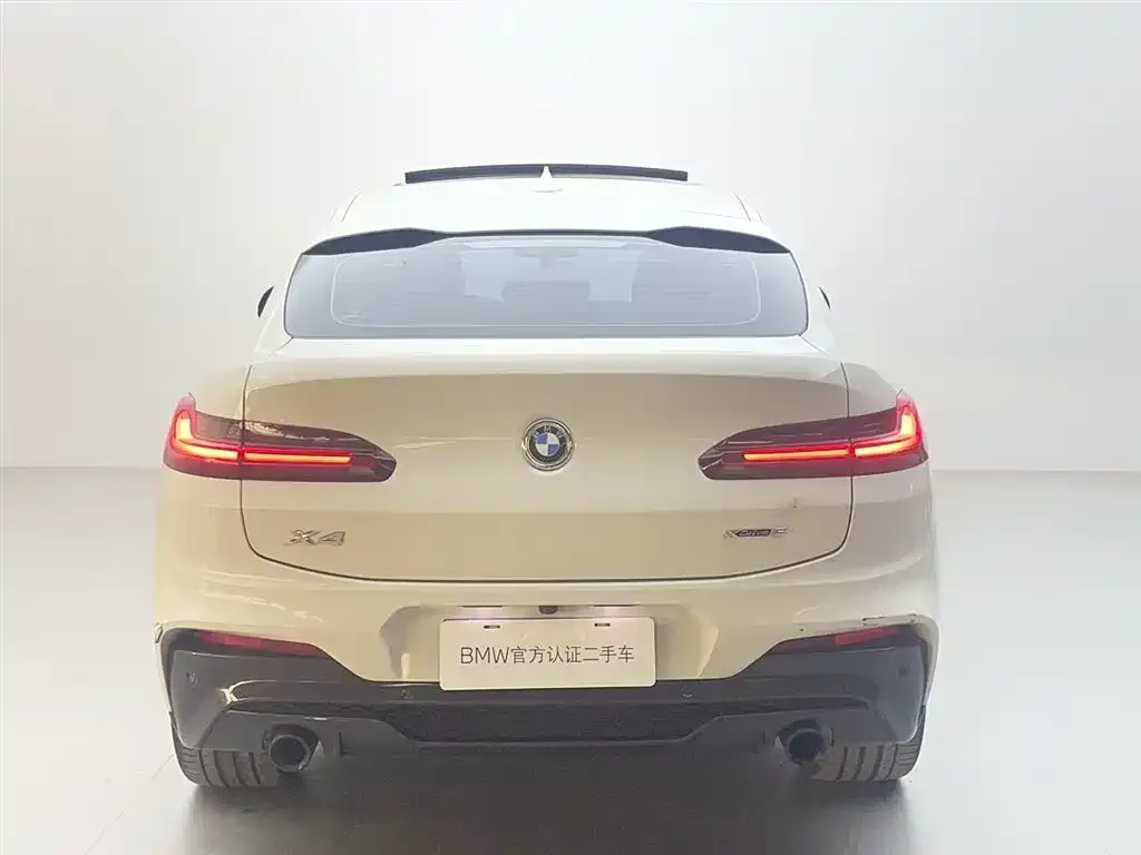 BMW X4 2021 из CN, фото 4