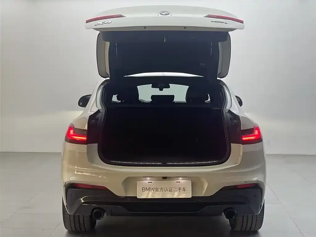 BMW X4 2021 из CN, фото 3