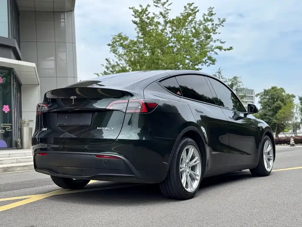 Tesla Model Y — фото 7
