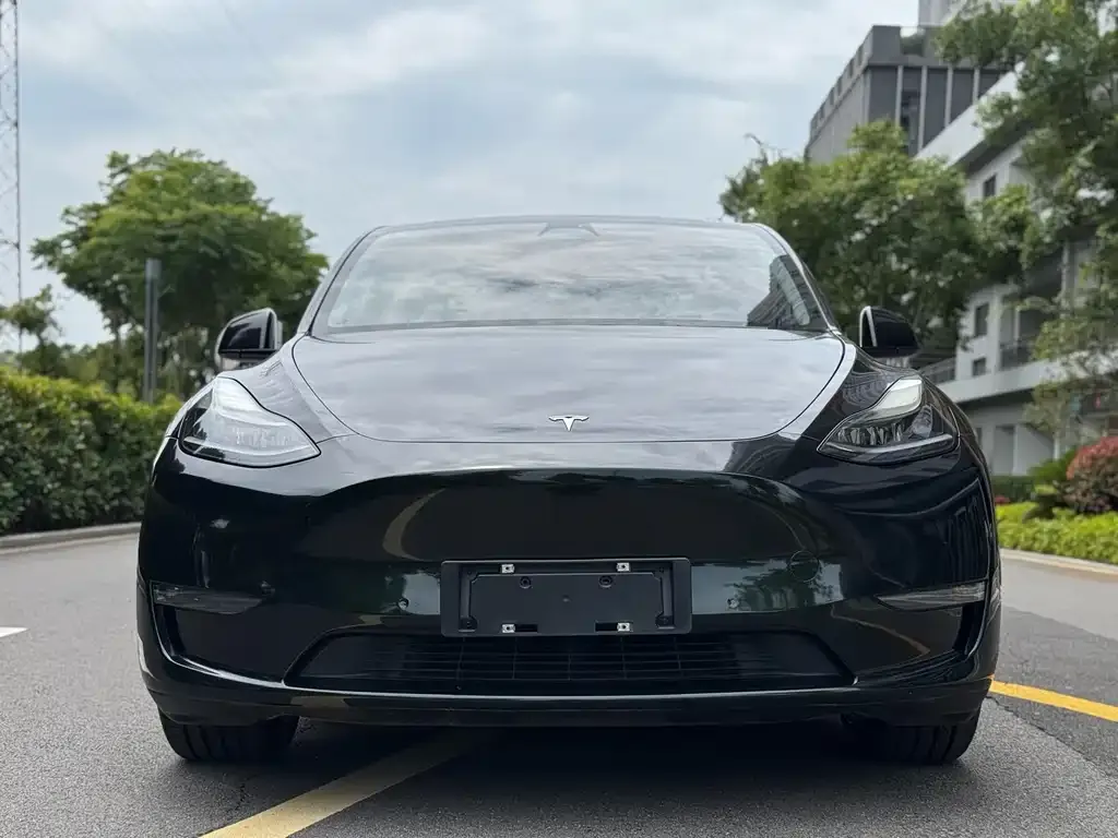 Tesla Model Y — фото 2