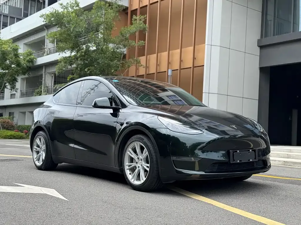 Tesla Model Y — фото 3