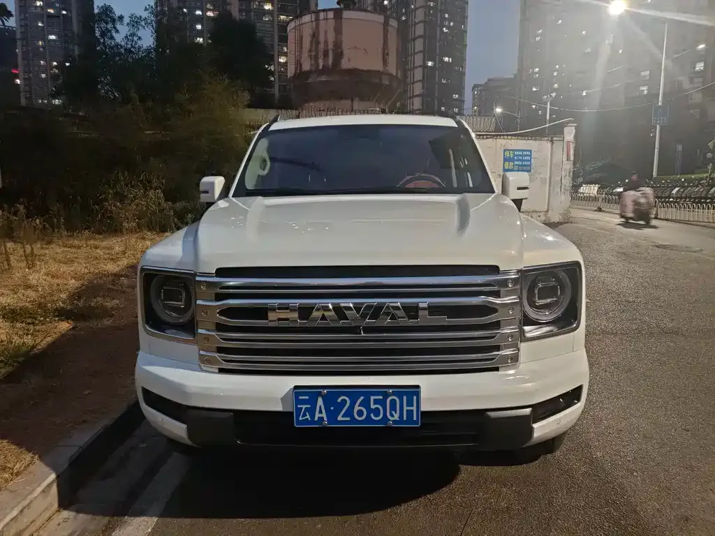 Haval H9 2024 из CN, фото 6
