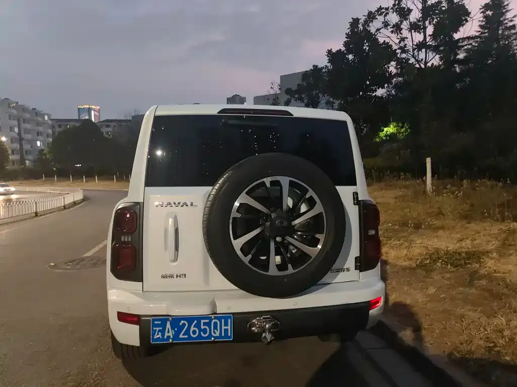 Haval H9 2024 из CN, фото 8