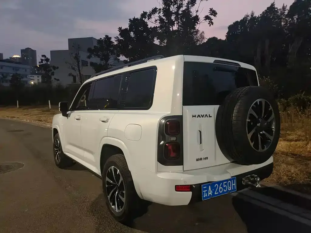 Haval H9 2024 из CN, фото 10