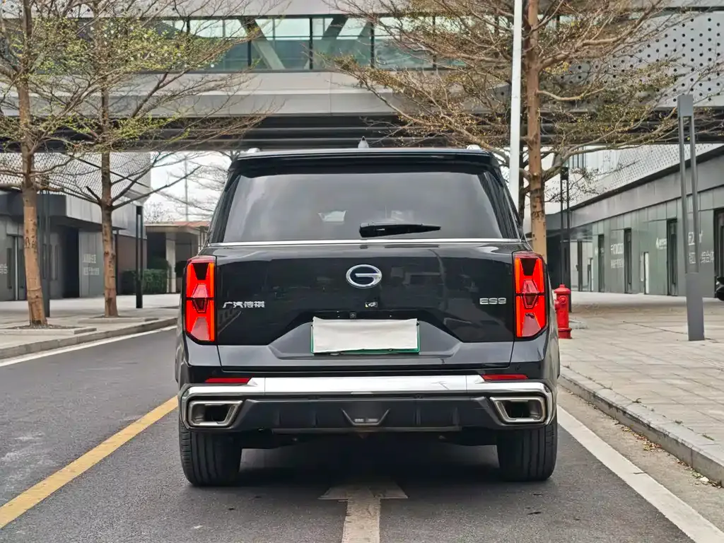 GAC Motor Trumpchi ES9 2024 из CN, фото 5