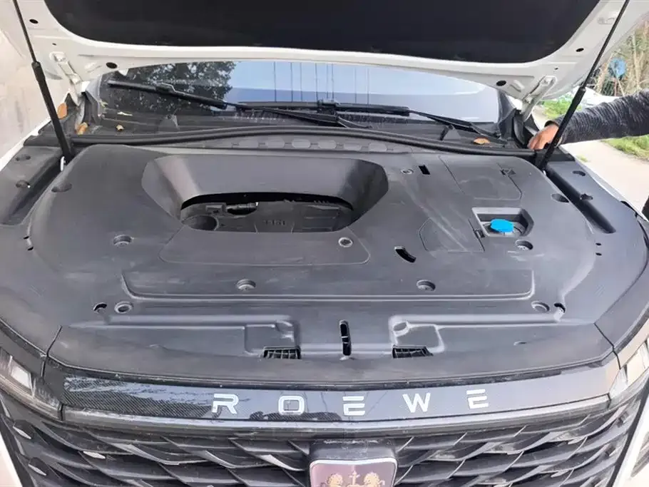 Roewe RX5 MAX 2023 из CN, фото 5