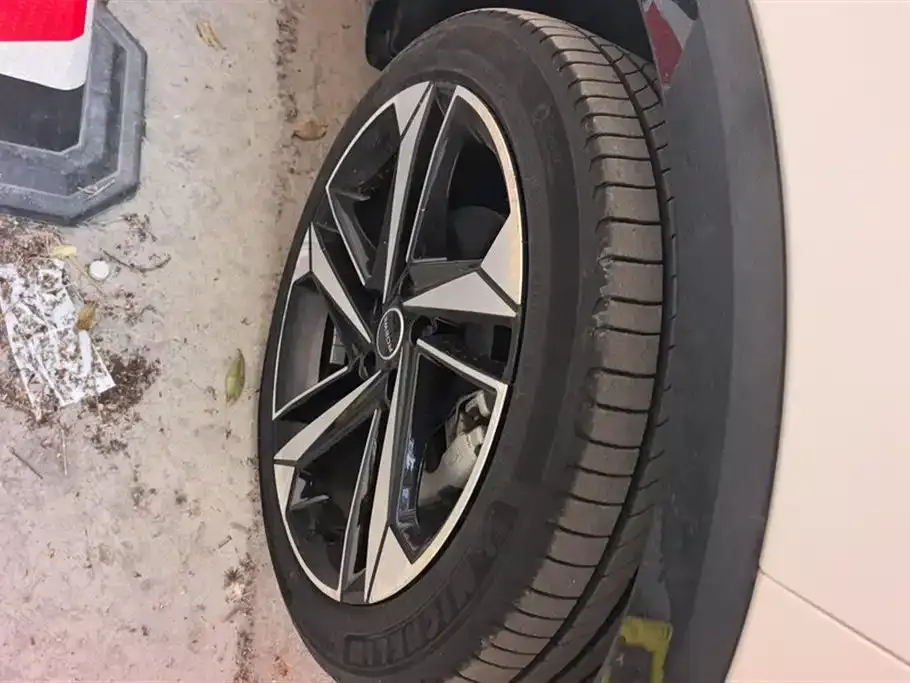 Roewe RX5 MAX 2023 из CN, фото 4