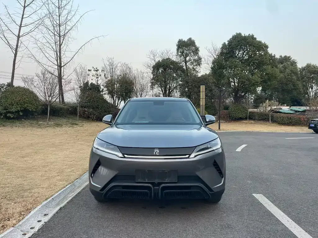BYD Yuan UP 2025 из CN, фото 1