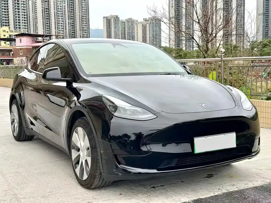 Tesla Model Y 2022 из CN, фото 1