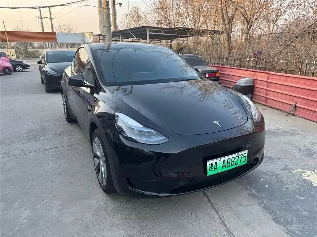 Tesla Model Y 2022 из CN, фото 1