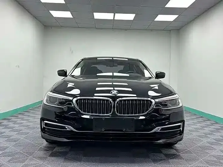 BMW 5 Series 2021 из CN, фото 5