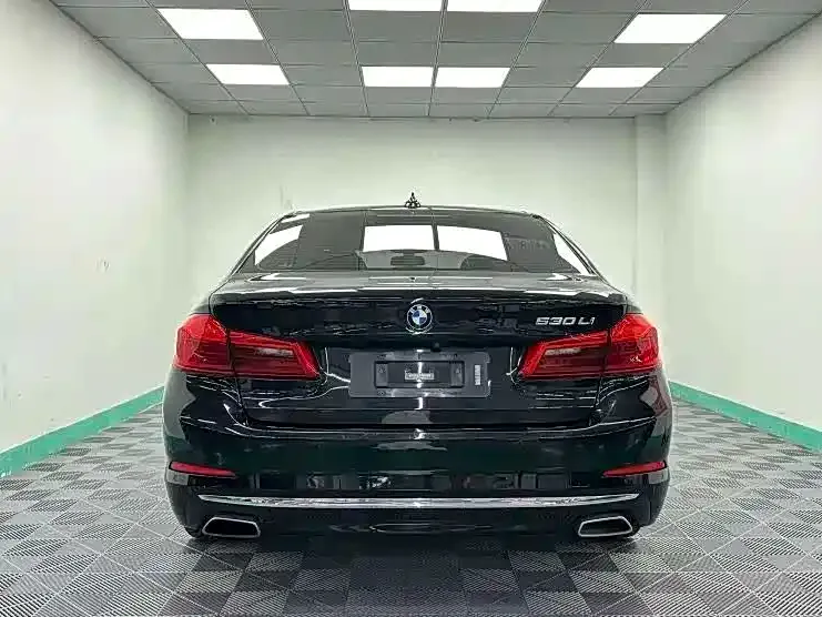 BMW 5 Series 2021 из CN, фото 7