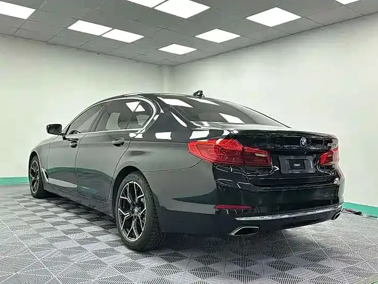 BMW 5 Series 2021 из CN, фото 6