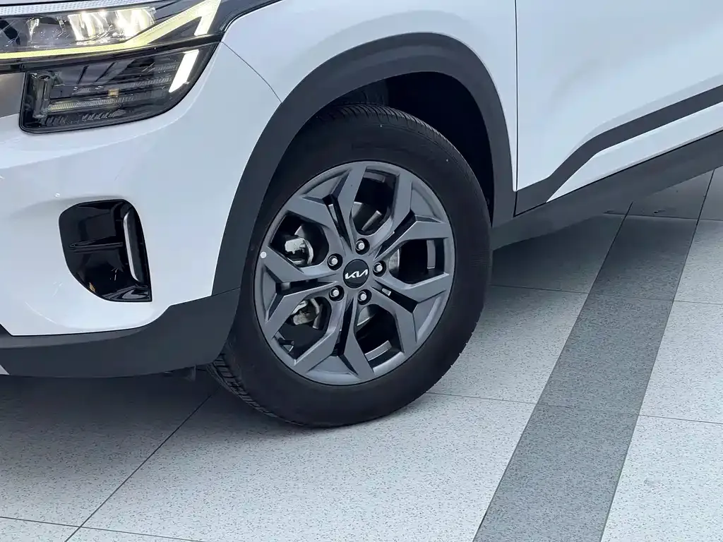 Kia Seltos 2023 из CN, фото 9
