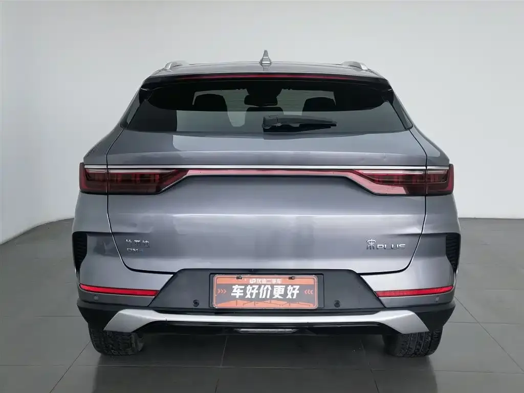 BYD PLUS New Energy 2022 из CN, фото 5
