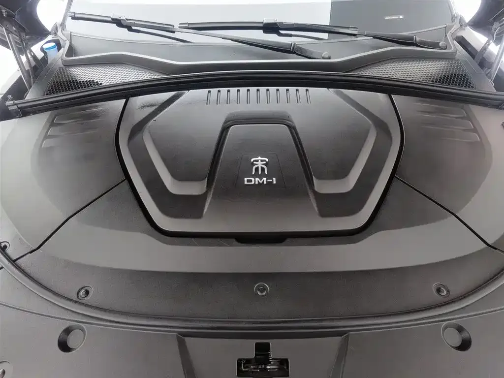 BYD PLUS New Energy 2022 из CN, фото 10