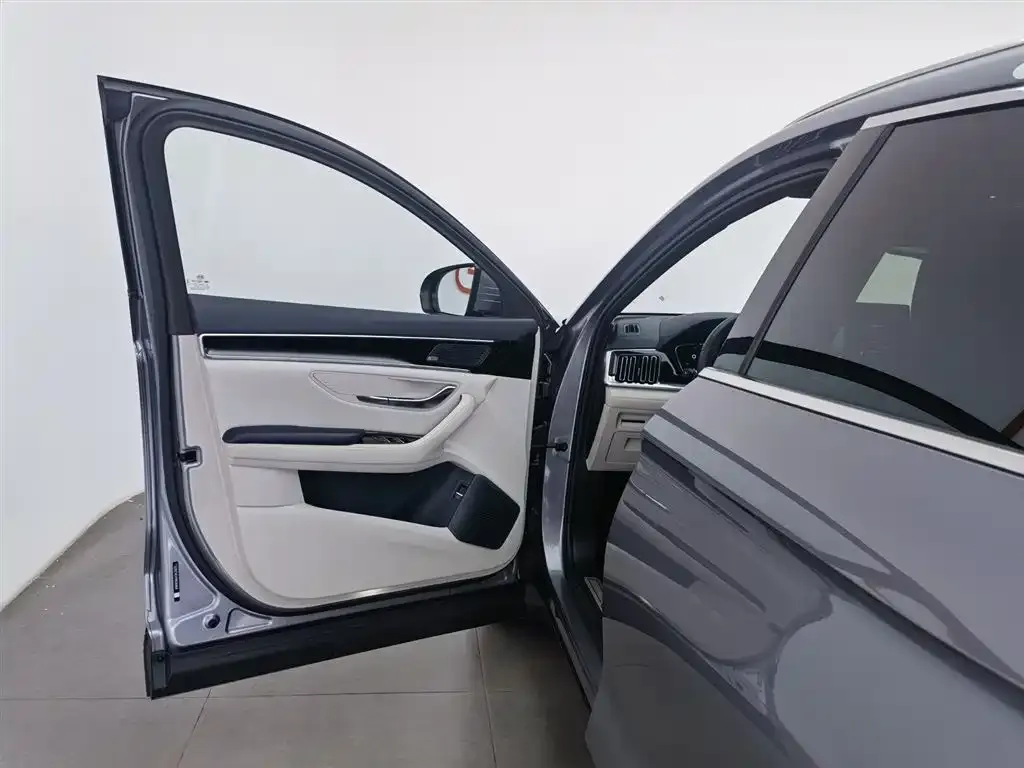 BYD PLUS New Energy 2022 из CN, фото 2