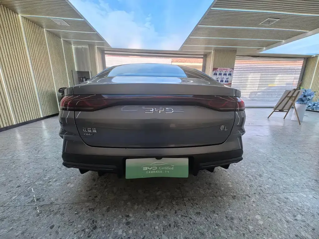 BYD Qin L 2024 из CN, фото 8