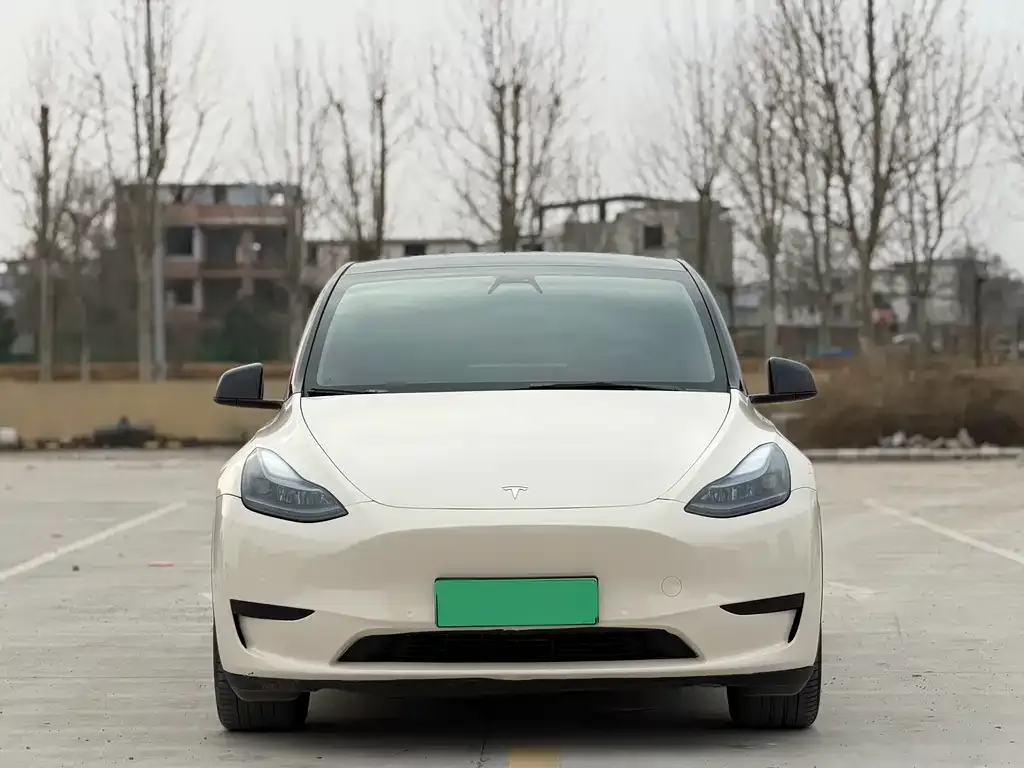 Tesla Model Y — фото 10