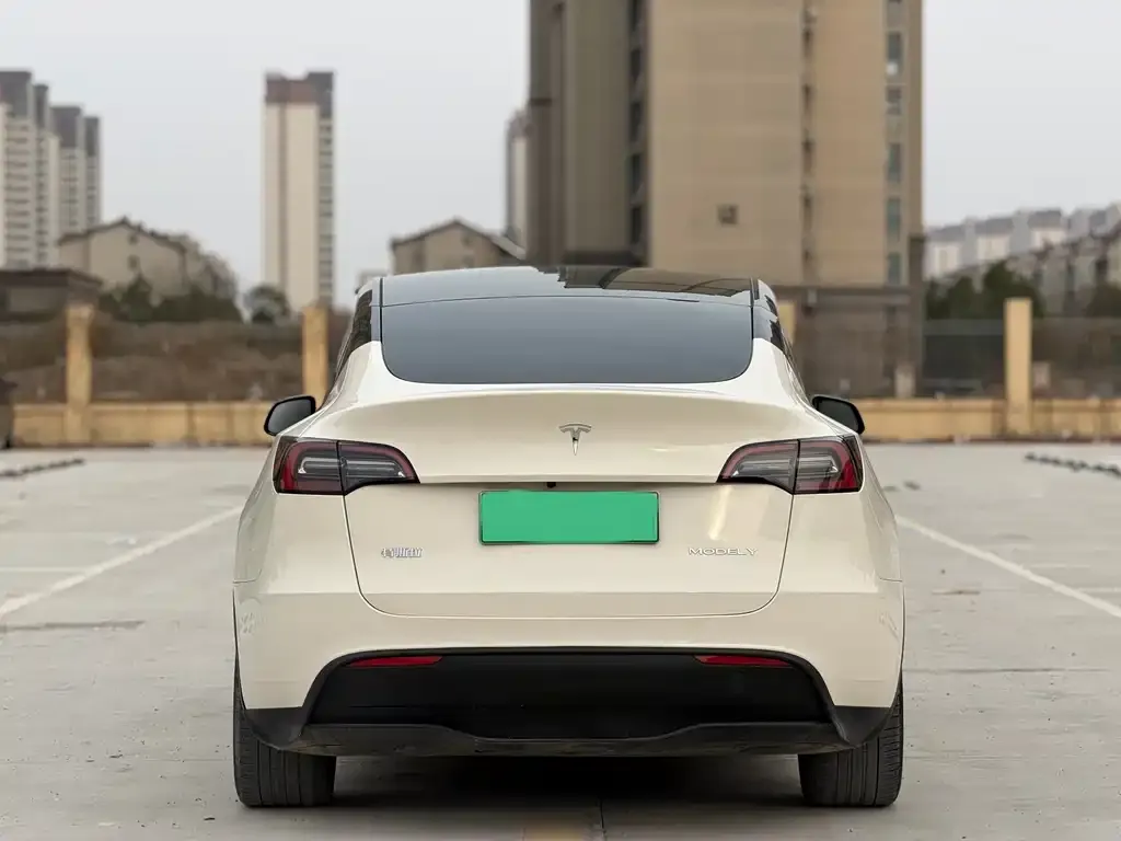 Tesla Model Y — фото 4