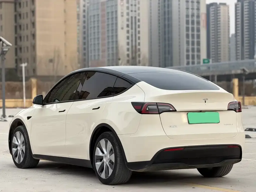 Tesla Model Y — фото 2