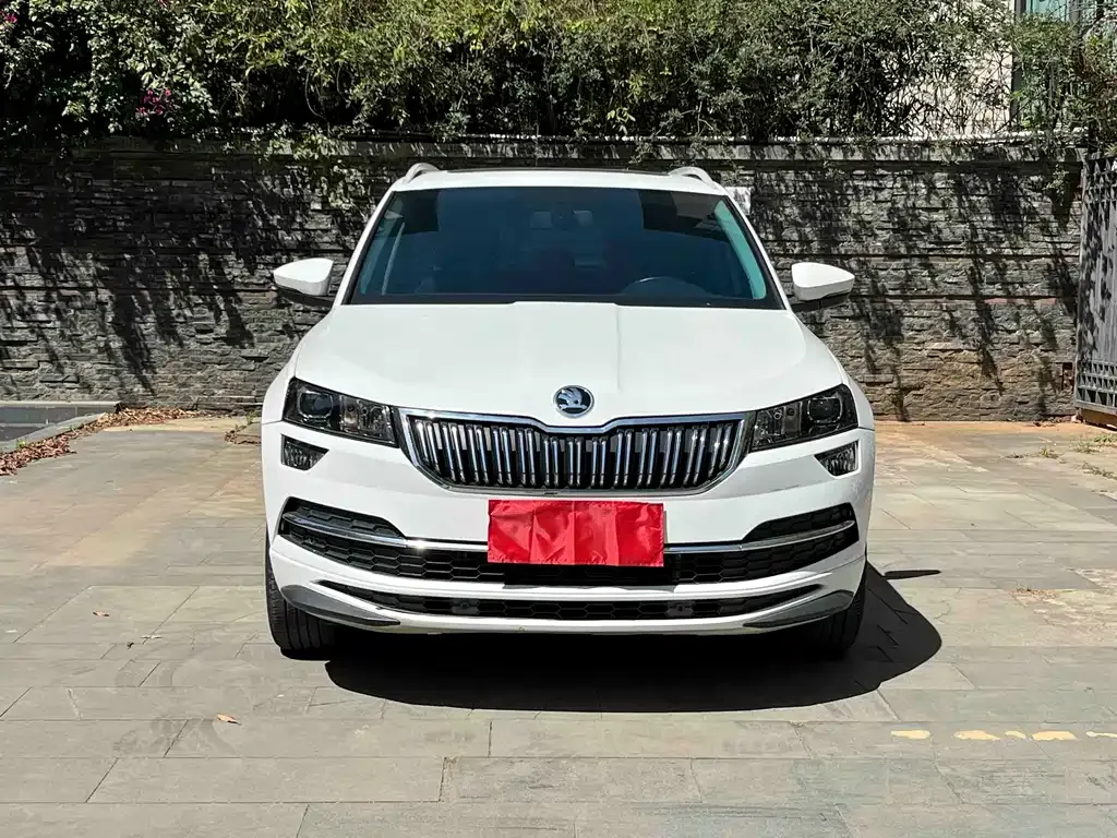 Skoda Karoq — фото 8