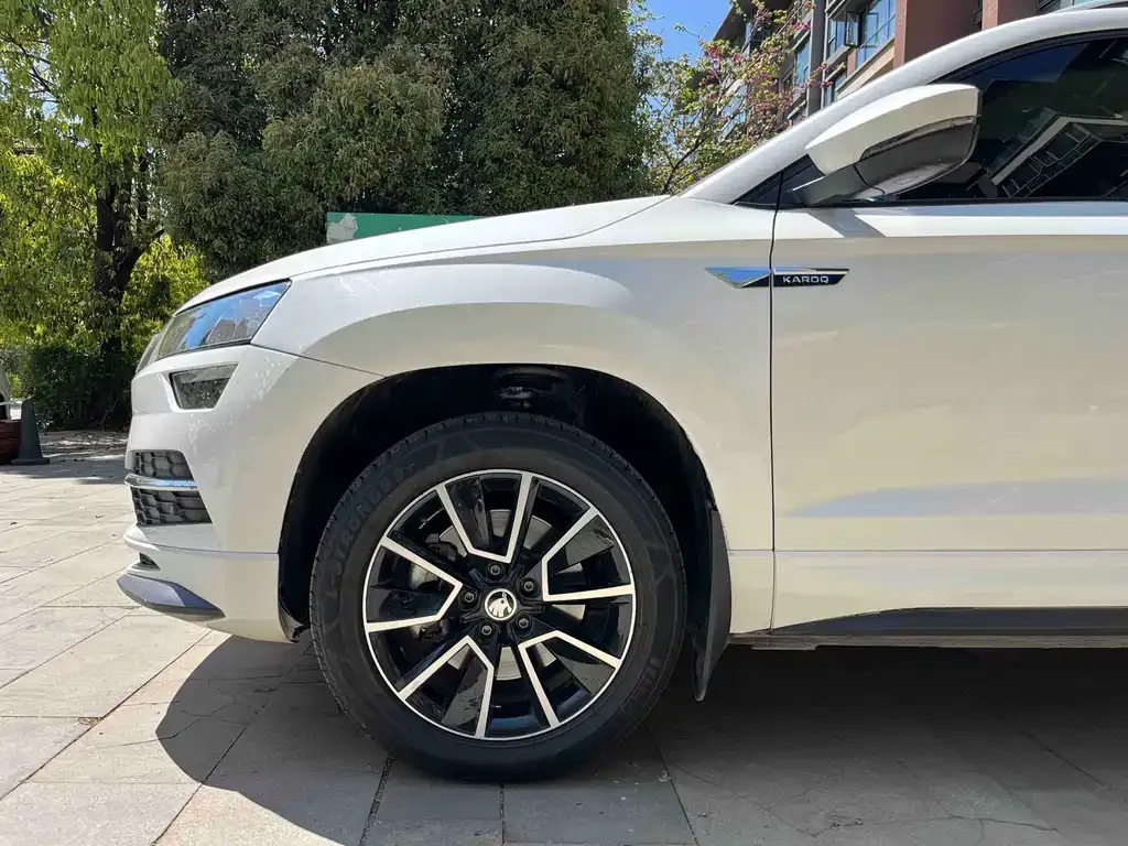 Skoda Karoq — фото 9