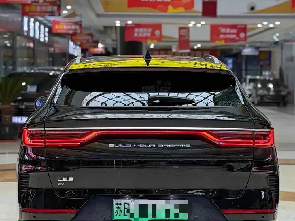 BYD PLUS New Energy — фото 4