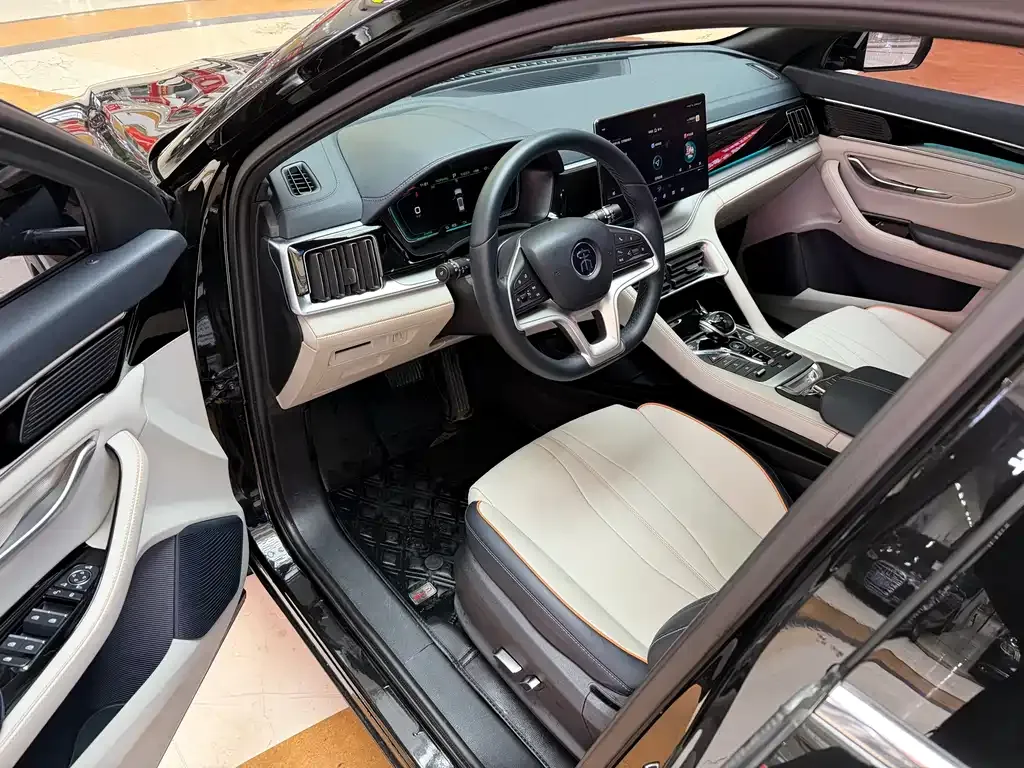 BYD PLUS New Energy — фото 6