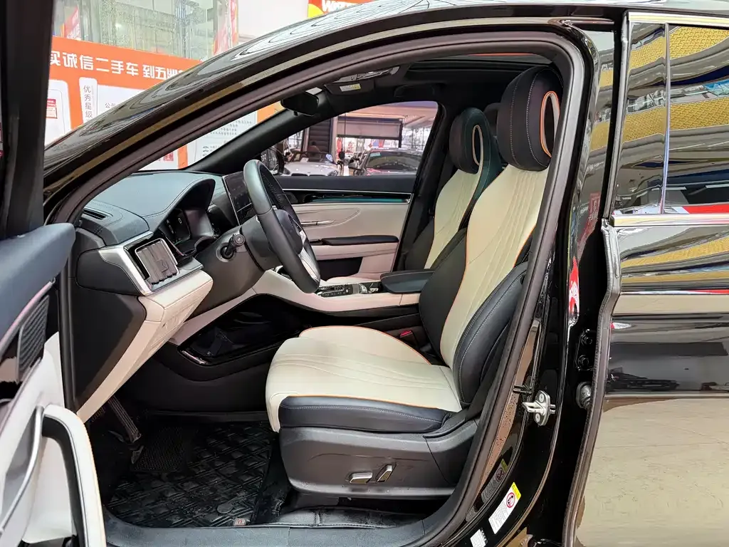 BYD PLUS New Energy — фото 9