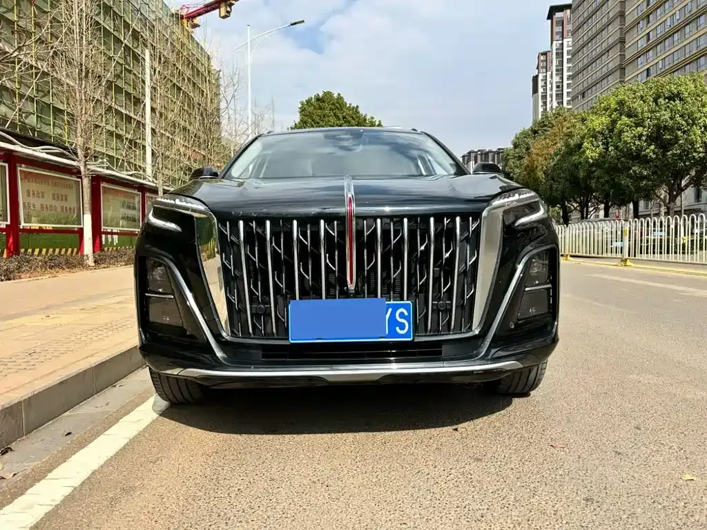 Hongqi HS3 2024 из CN, фото 6