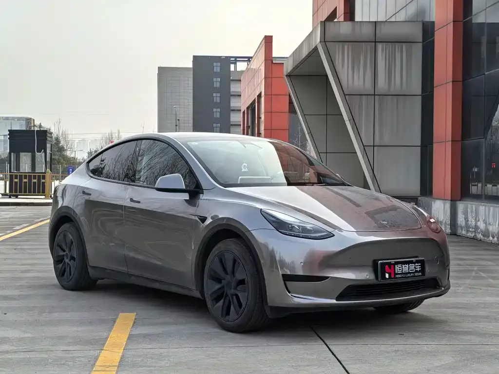 Tesla Model Y — фото 3