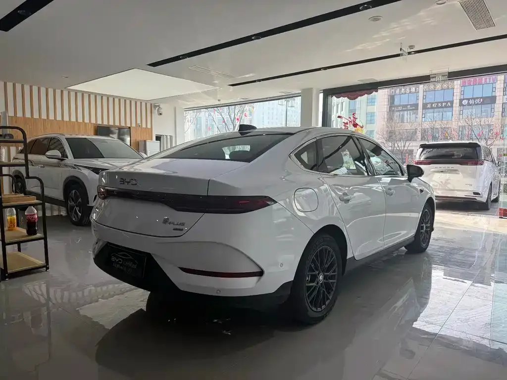 BYD Qin PLUS — фото 8