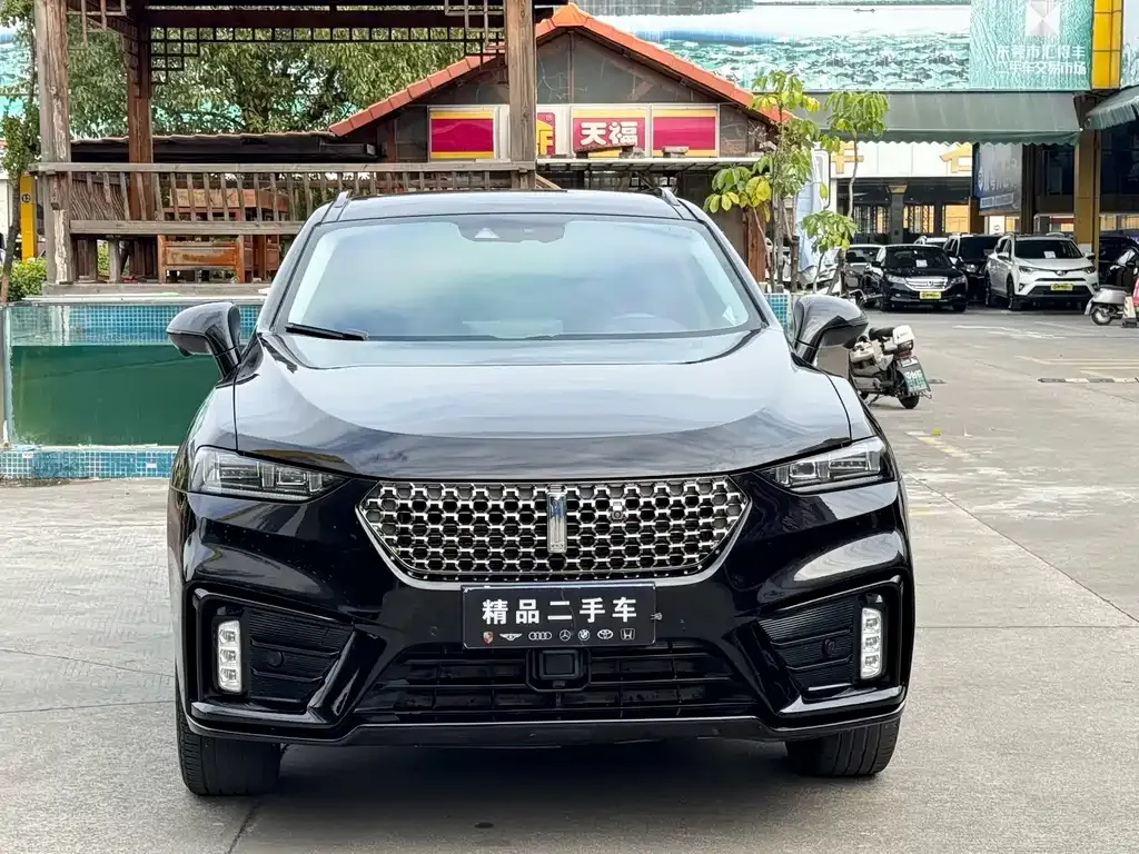 Wey VV7 GT 2021 из CN, фото 10