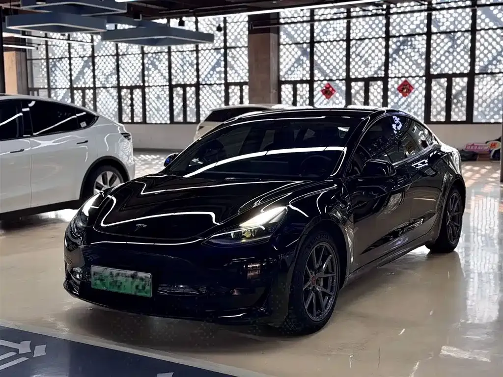 Tesla Model 3 2021 из CN, фото 1