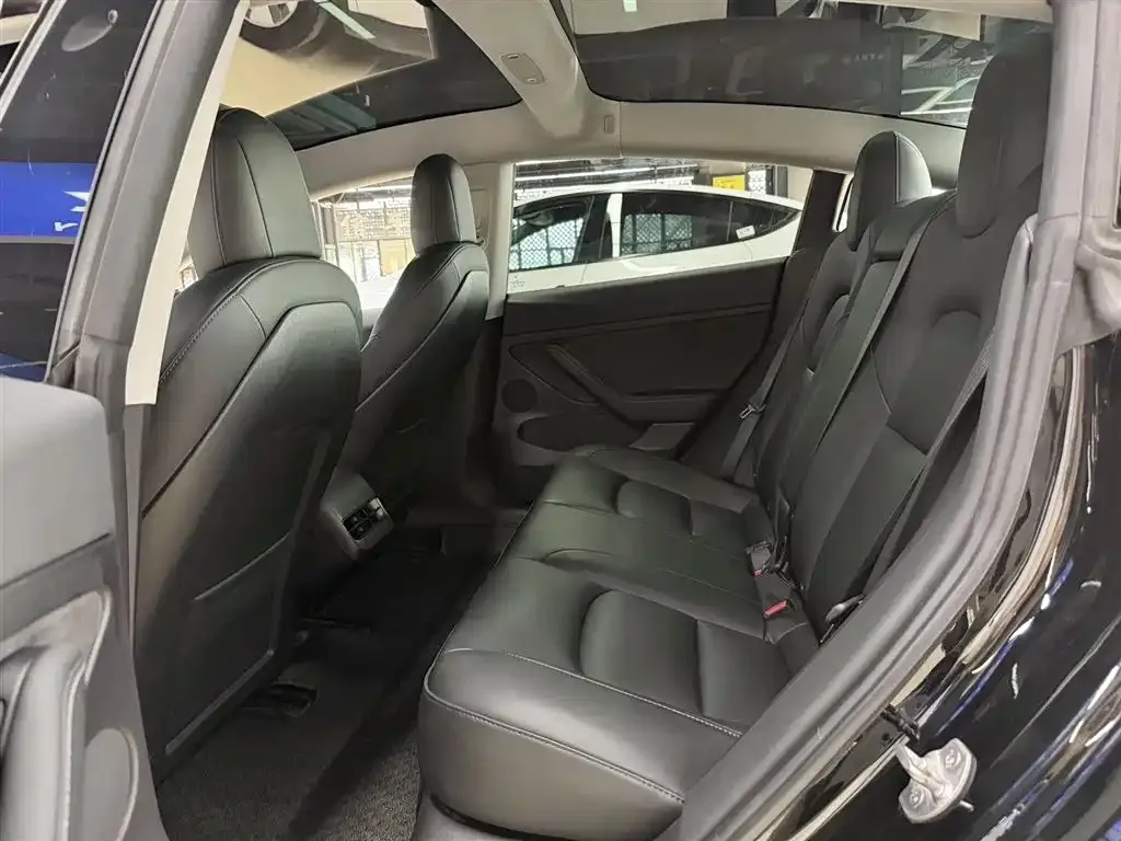 Tesla Model 3 2021 из CN, фото 6