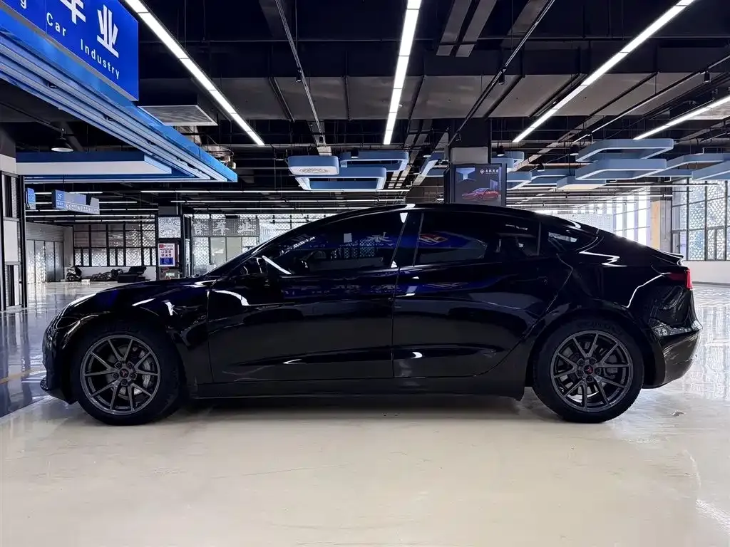 Tesla Model 3 2021 из CN, фото 5