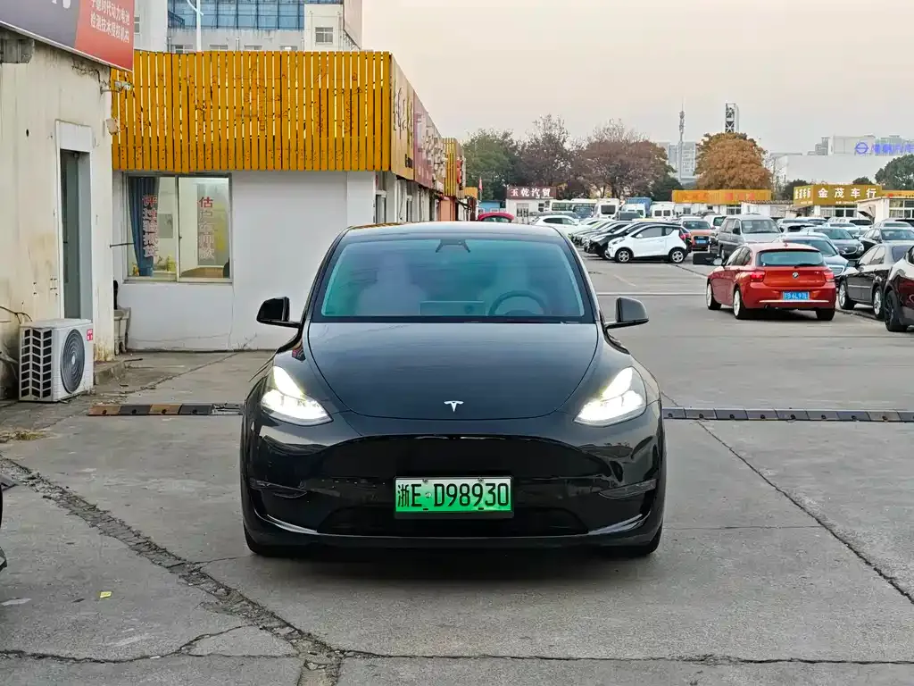 Tesla Model Y — фото 6
