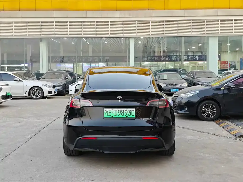 Tesla Model Y — фото 8