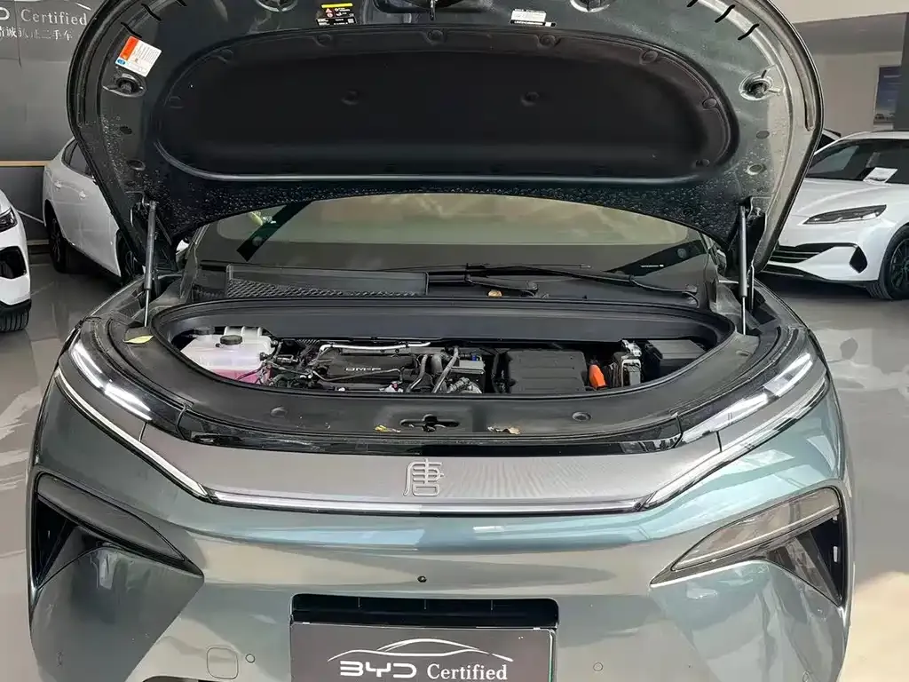 BYD Tang L 2025 из CN, фото 9
