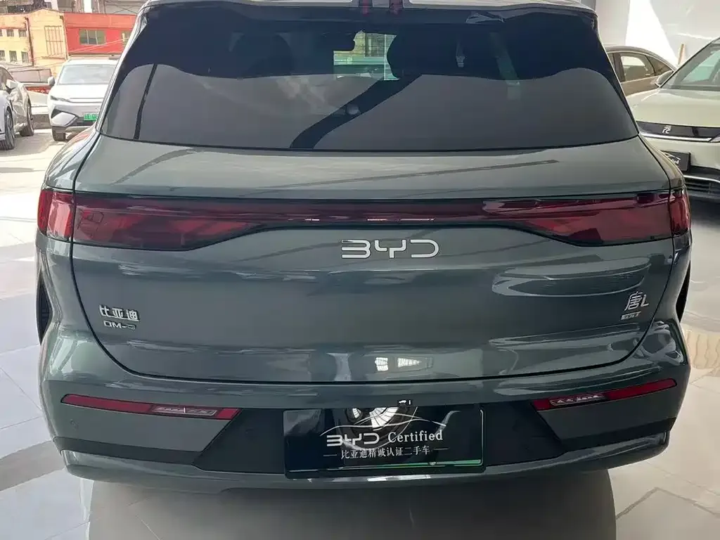 BYD Tang L 2025 из CN, фото 3