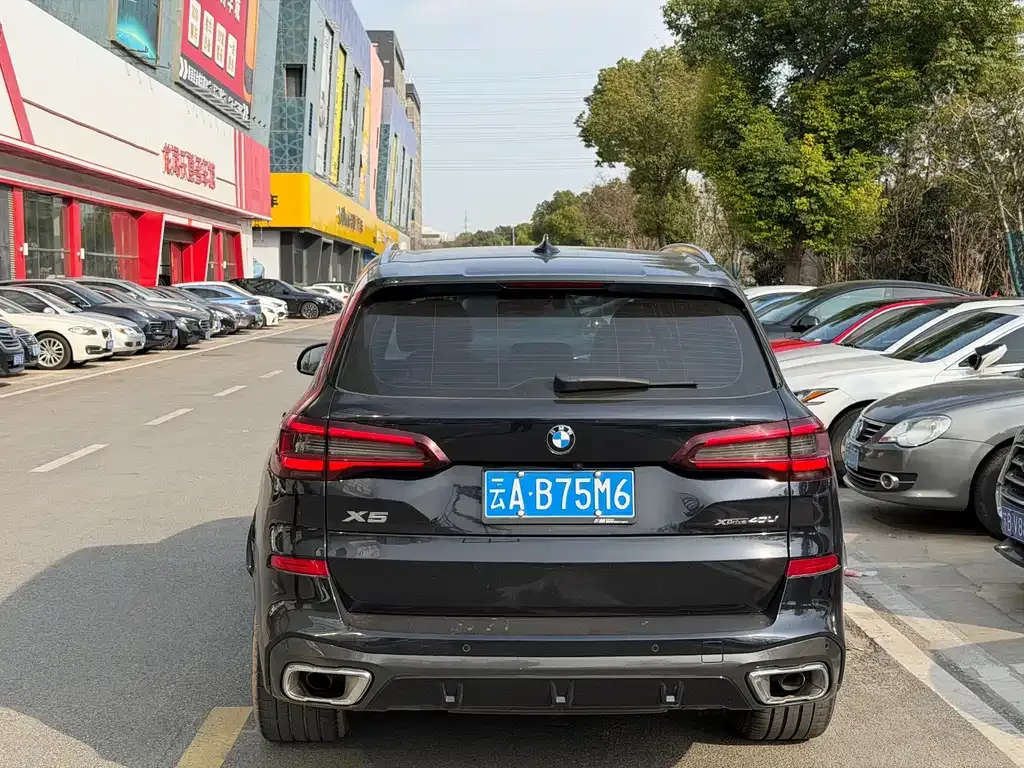 BMW X5 2022 из CN, фото 6