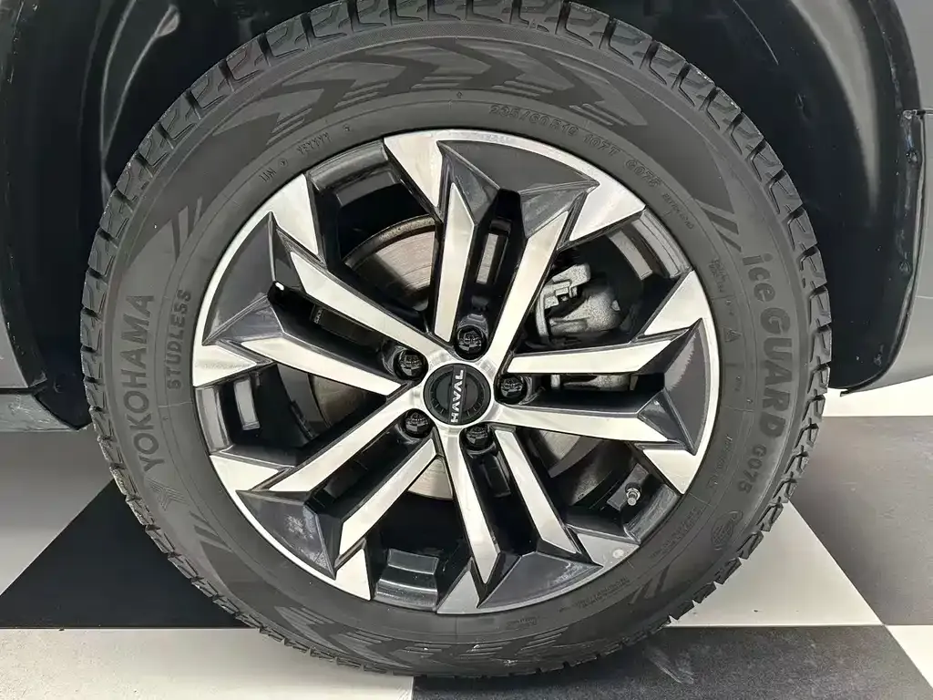 Haval Big Dog — фото 10