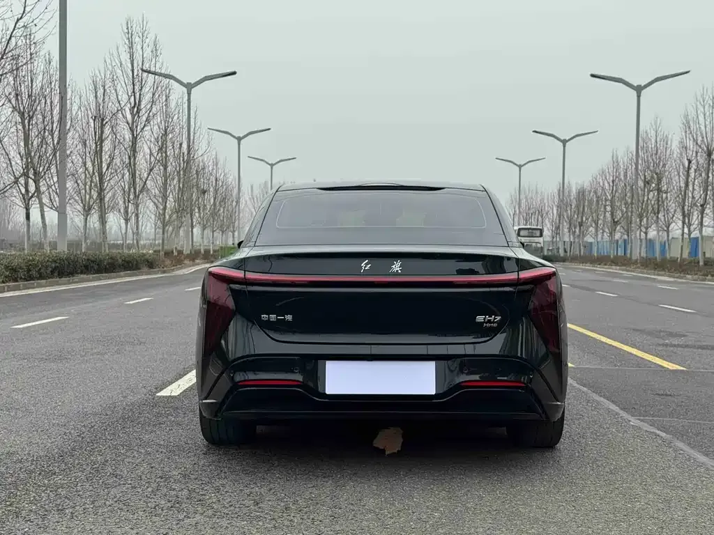 Hongqi EH7 — фото 6