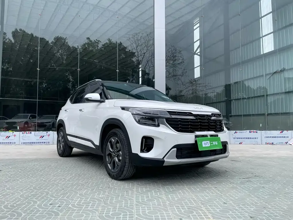 Kia Seltos 2023 из CN, фото 8
