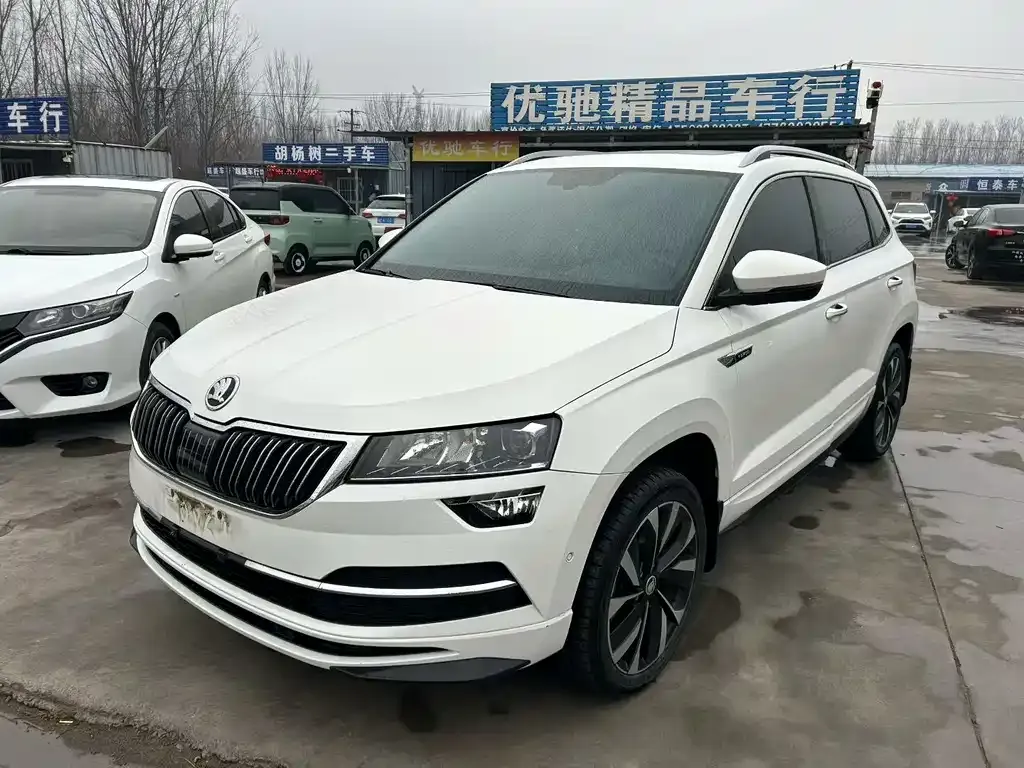 Skoda Karoq 2022 из CN, фото 1