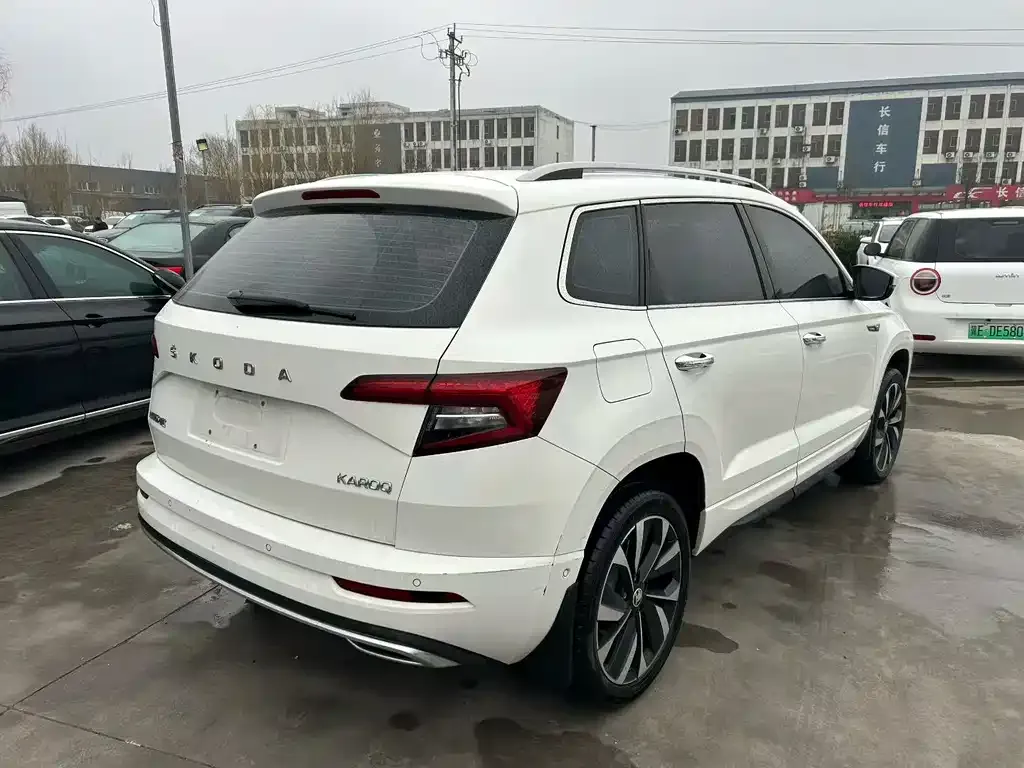 Skoda Karoq 2022 из CN, фото 4