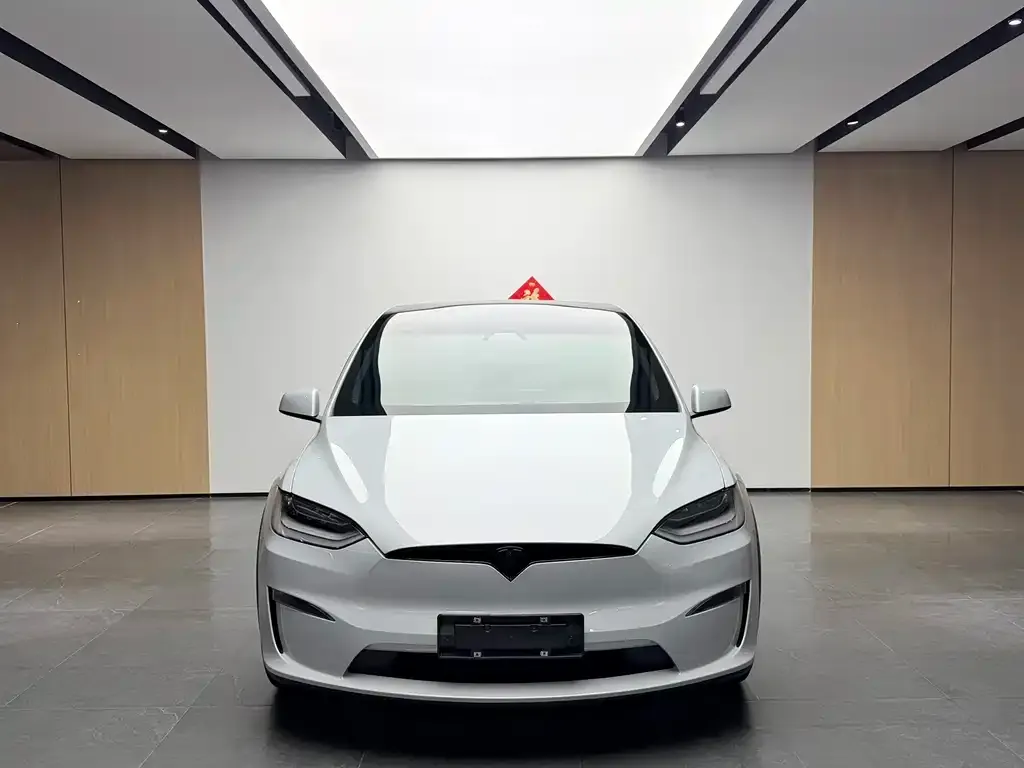 Tesla Model X — фото 3